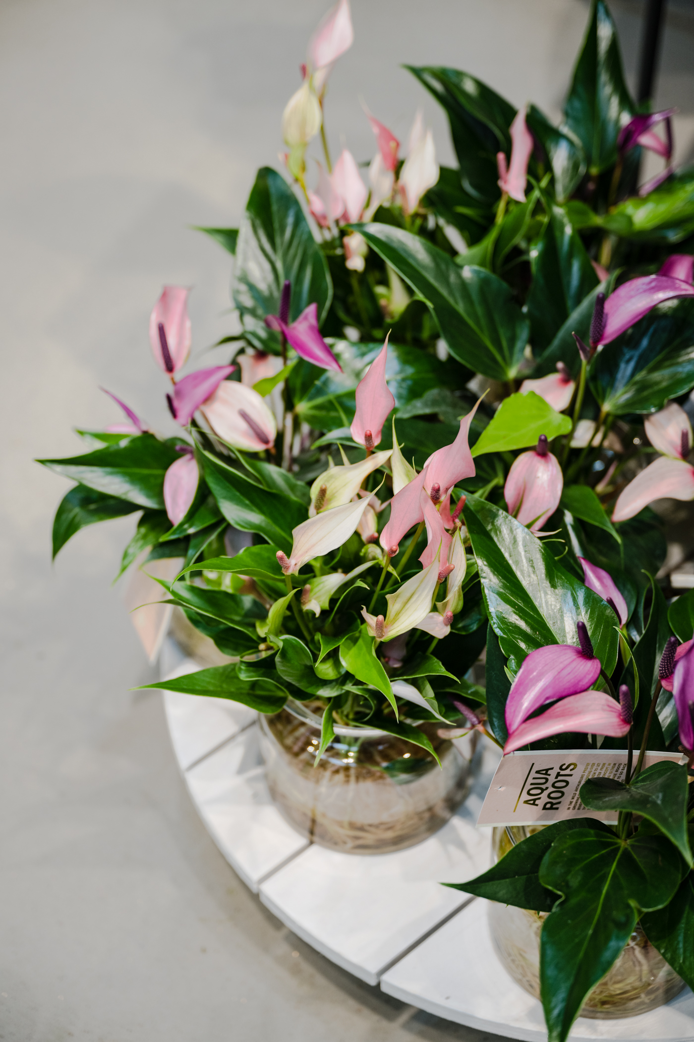 Salon Verde Nordbahnviertel - edelstoff Messe